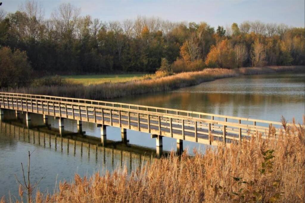 Huisje Vogelenzang Zeeland Sint Annaland Exteriör bild