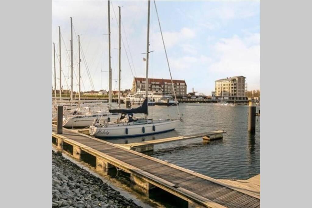 Huisje Vogelenzang Zeeland Sint Annaland Exteriör bild
