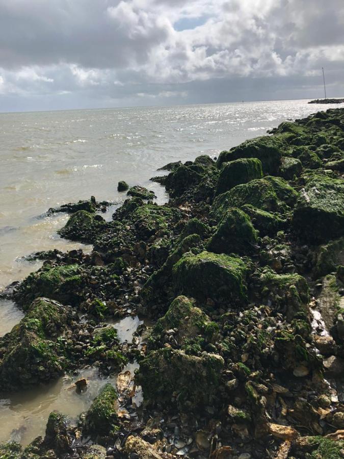 Huisje Vogelenzang Zeeland Sint Annaland Exteriör bild