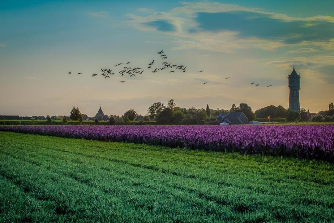 Huisje Vogelenzang Zeeland Sint Annaland Exteriör bild
