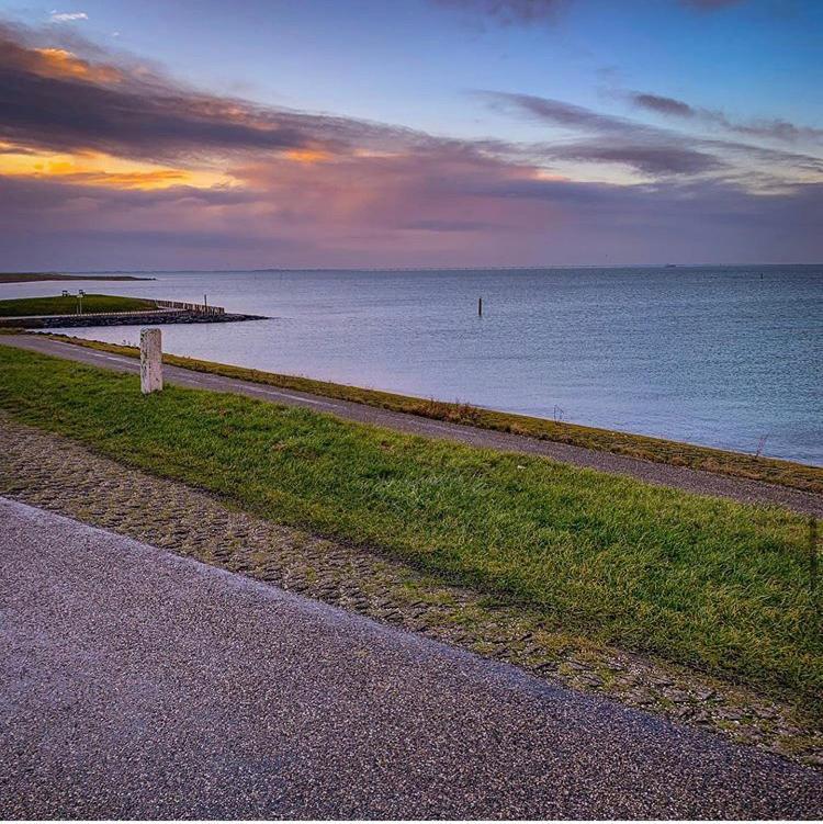 Huisje Vogelenzang Zeeland Sint Annaland Exteriör bild